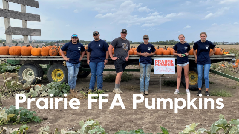 Prairie FFA Pumpkins