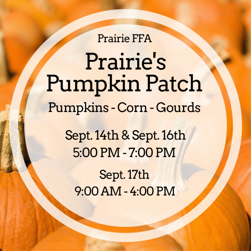 Prairie Pumpkin Patch