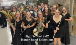 Honor Band HS (1)