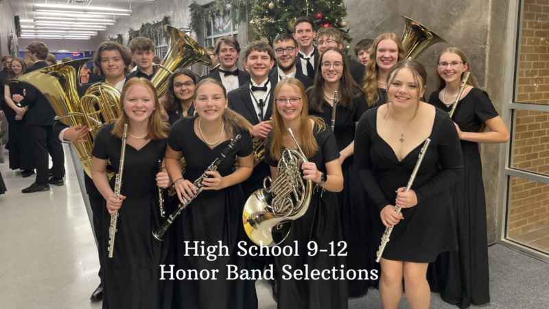 Honor Band HS (1)