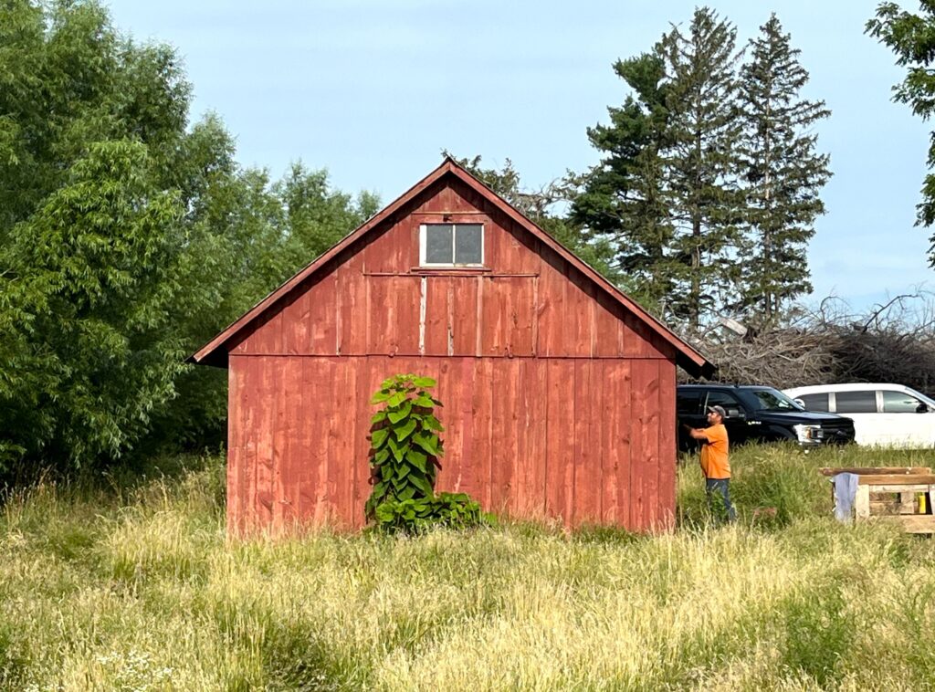 Barn 2