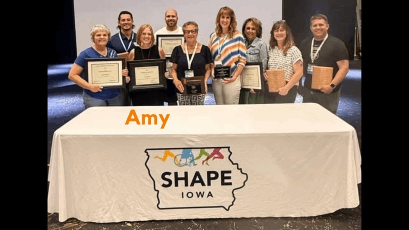 Amy Award