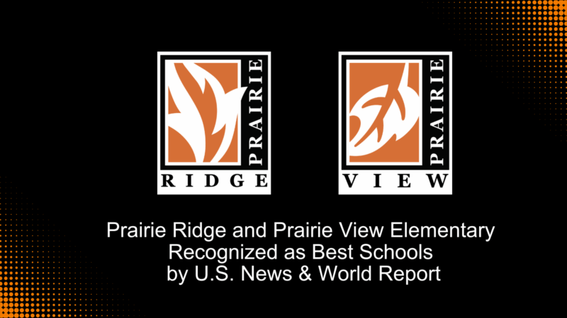 Blue and Purple Modern Testimonial Twitter Post (2)