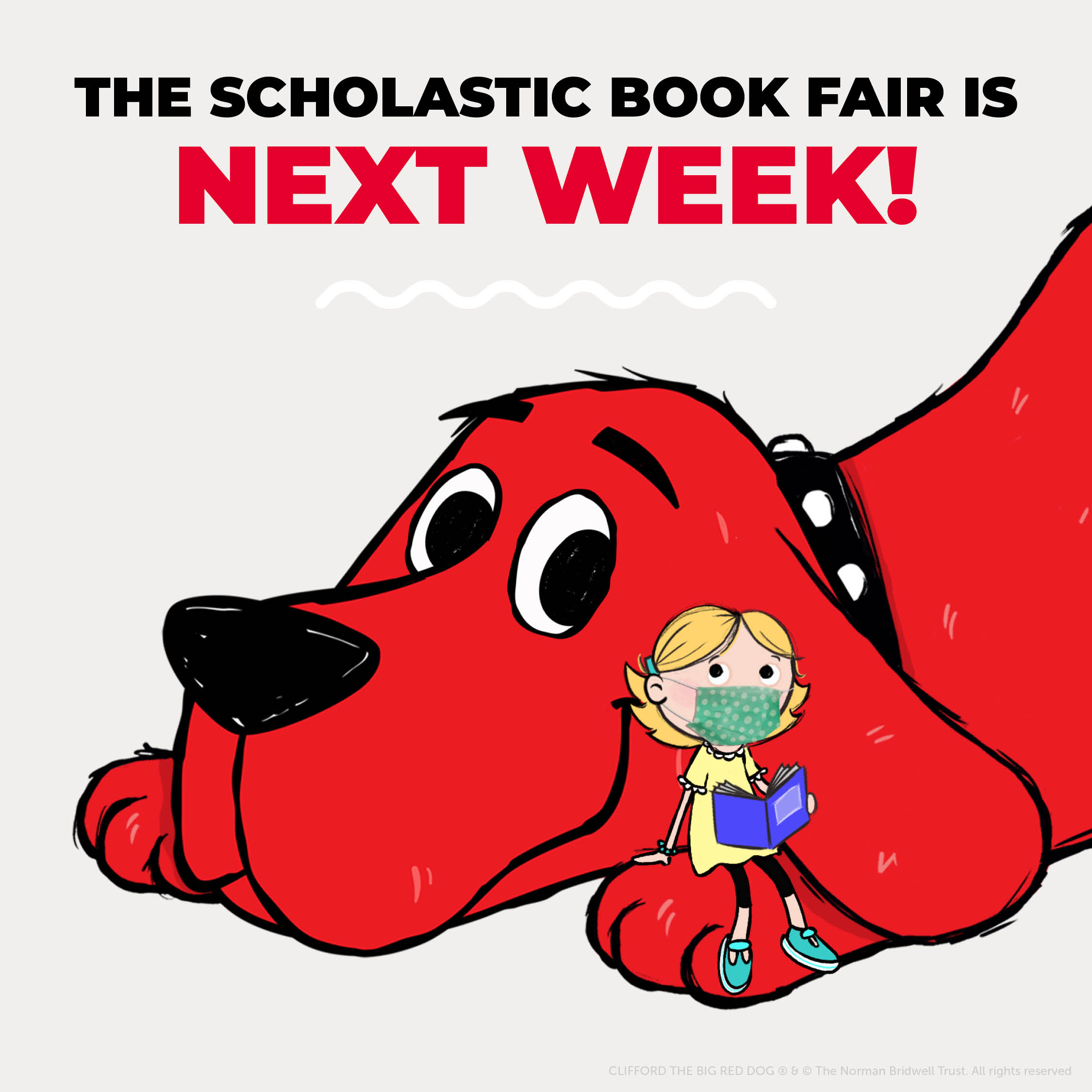 Scholastic Book Fair Coming Soon! – Prairie Hill